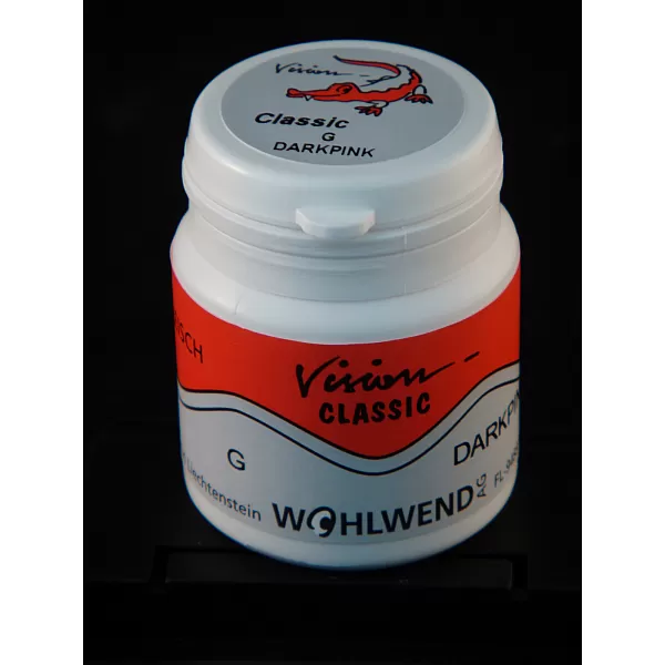 VISION GINGIVA